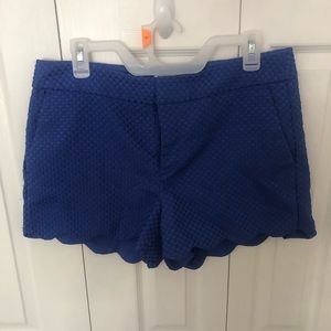 Blue Textured Scalloped Shorts